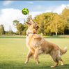 Interactive Treat Ball Toy